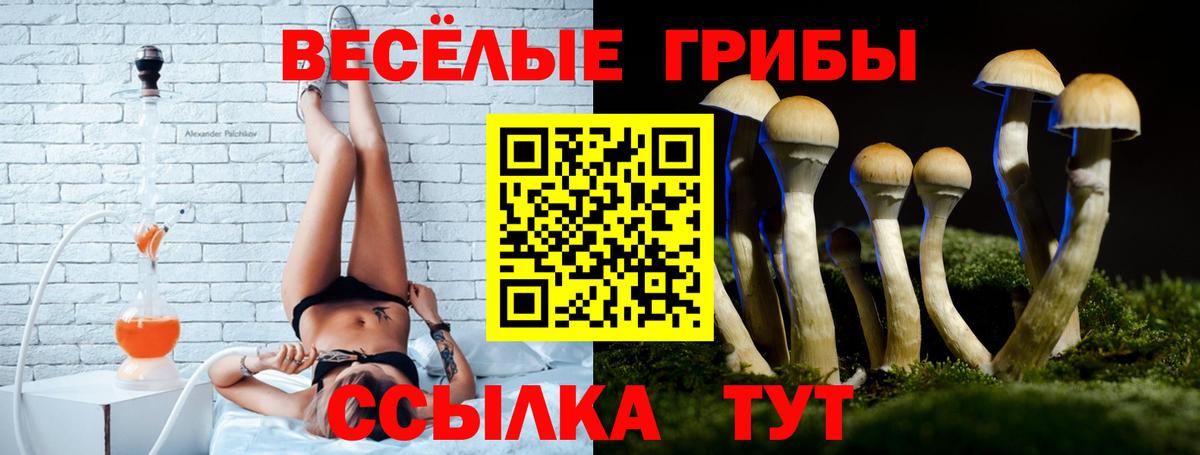Галлюциногенные грибы Psilocybine cubensis  Вход с VPN  Новоалтайск 